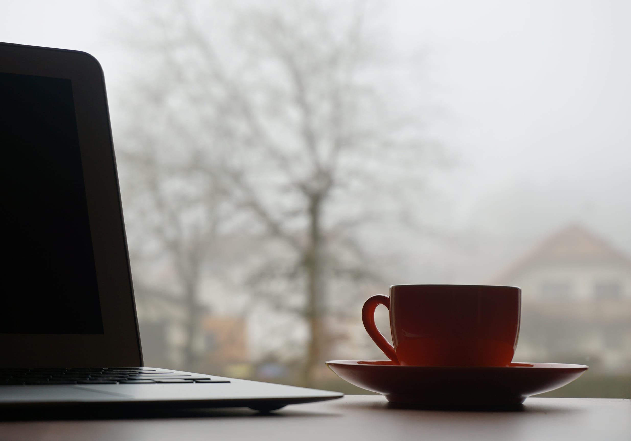 18L0kpS7C2aa8ZVYCPtQX3GuWmU9PVWmA9gnuiTB